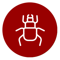 Malware Bug Icon