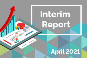 Interim report